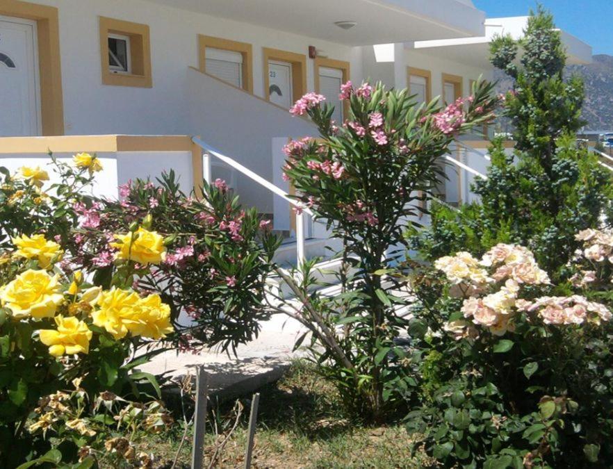 Nikos 2 Studios & Apartments Kardamena  ห้อง รูปภาพ